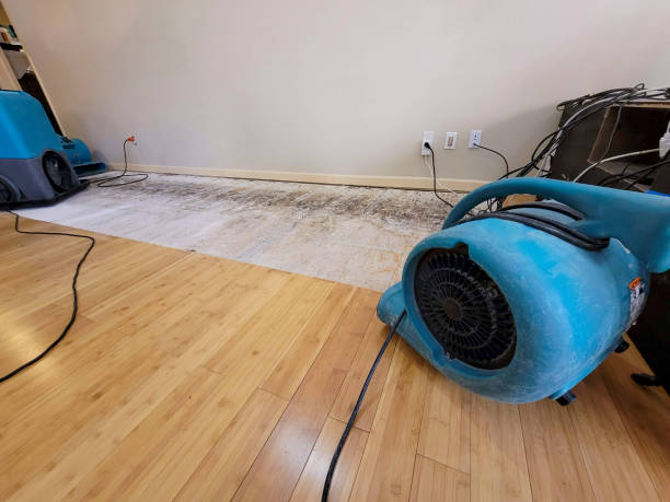 Professional Flood Damage Cleanup technician working in Ely, NV